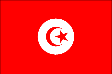  Flag